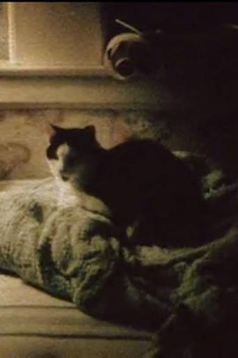 My Cat, My Garden, and 9/11 (2001) poster