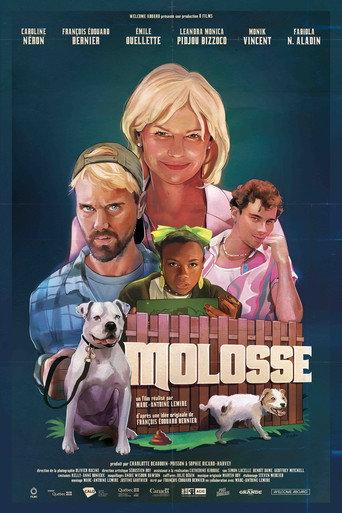 Mad Dog (2025) poster
