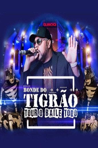 Bonde Do Tigrão - O Baile Todo () poster