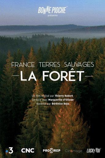 France terres sauvages : La Forêt (2019) poster
