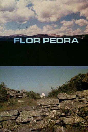Flor Pedra (1975) poster