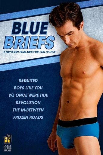 Blue Briefs (2012) poster