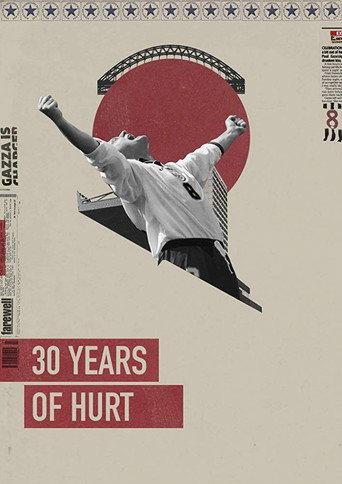 30 Years of Hurt () poster