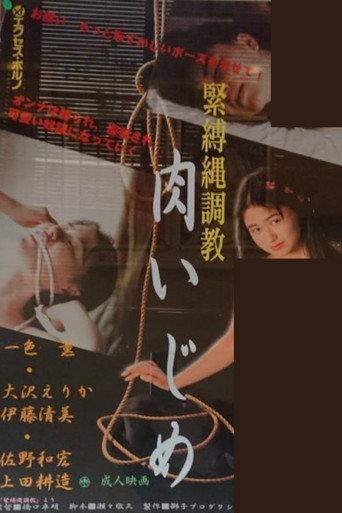 Bondage Rope Training (1992) poster