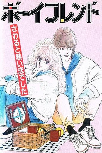 Boyfriend (1992) poster