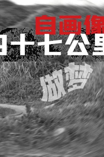 Self-Portrait: Dreaming at 47 KM (2013) poster