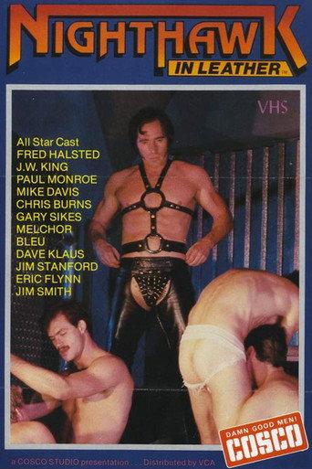 Nighthawk in Leather (1982) poster