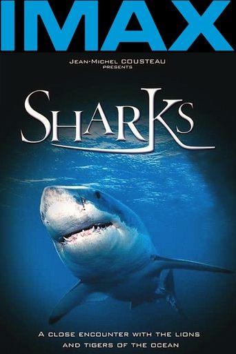 Sharks 3D (2004) poster
