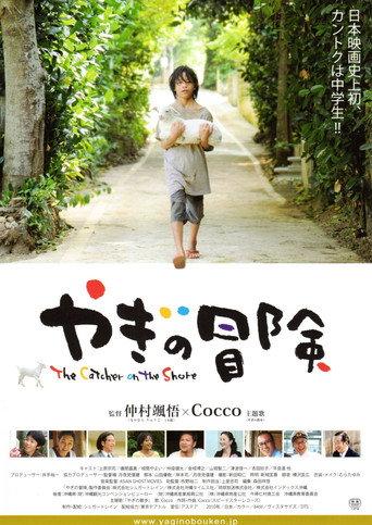 The Catcher On The Shore (2010) poster