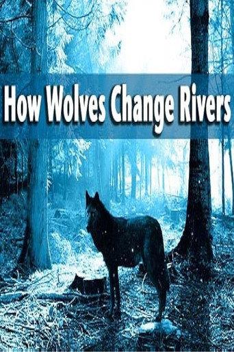 How Wolves Change Rivers (2014) poster