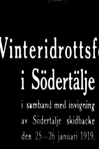 Winter Sports Party in Södertälje (1919) poster