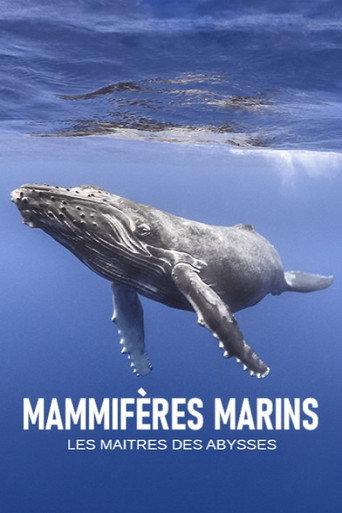 Mammifères marins, les maîtres des abysses (2018) poster