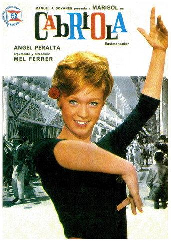 Every Day Is a Holiday (1965) poster