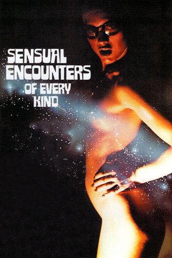 Sensual Encounters of Every Kind (1978) poster
