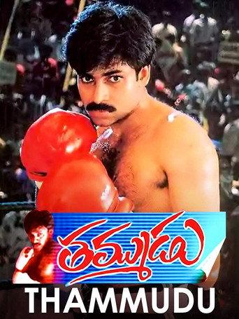 Thammudu (1999) poster