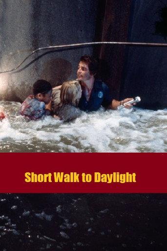 Short Walk to Daylight (1972) poster