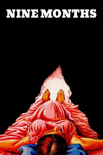 Nine Months (1976) poster