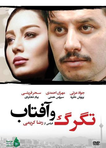 Hailstorm and Sun (2014) poster