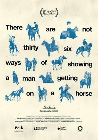 There Are Not Thirty-Six Ways of Showing a Man Getting on a Horse (2020) poster
