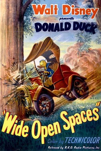 Wide Open Spaces (1947) poster