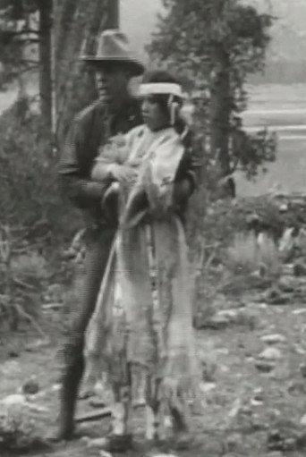 Little Dove's Romance (1911) poster