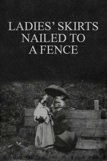 Ladies' Skirts Nailed to a Fence (1899) poster