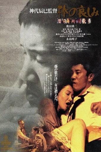 Like a Rolling Stone (1994) poster