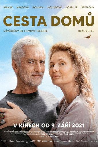 Way Home (2021) poster