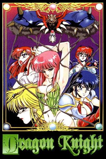 Dragon Knight (1991) poster