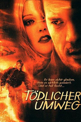 Deadly Diversion (2004) poster
