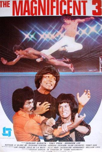 The Magnificent 3 (1980) poster
