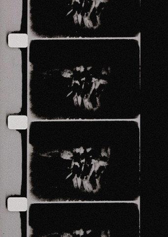 Studies in Image (de) Generation (1975) poster