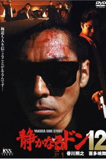 Quiet Don 12 (2001) poster