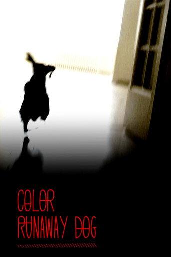 Color Runaway Dog (2011) poster