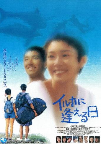 イルカに逢える日 (1994) poster
