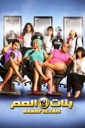 Female Cousins (2012) poster