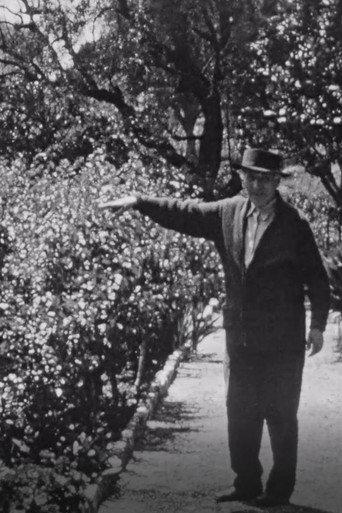 Chagall dans son jardin a Saint-Paul-de-Vence (1970) poster