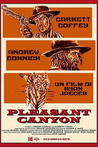 Pleasant Canyon (2020) poster