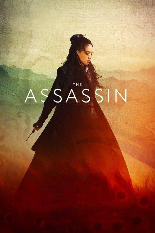 The Assassin 2015 official movie poster