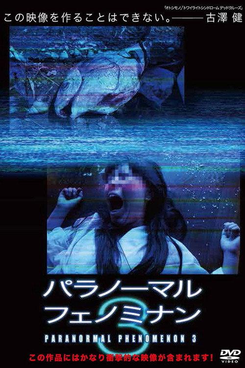 Paranormal Phenomenon 3 2010 official movie poster