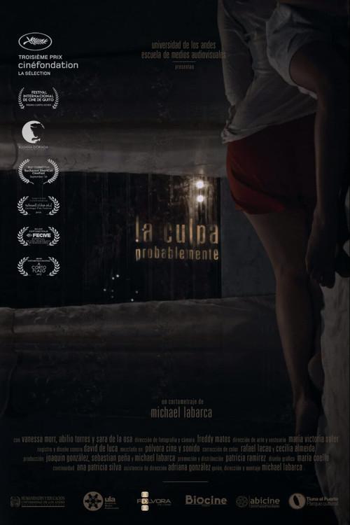 The Guilt, Probably 2016 official movie poster