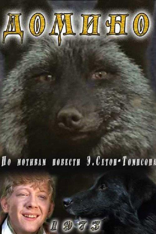 Domino 1973 official movie poster