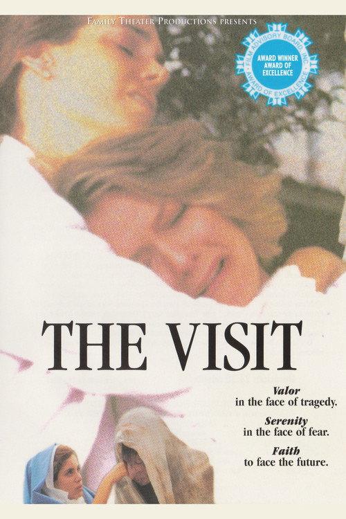 The Visit 1993 official movie poster