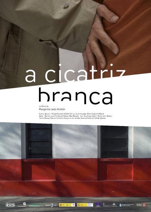 A cicatriz branca 2012 official movie poster