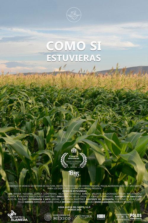 Como Si Estuvieras 2019 official movie poster