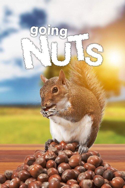 Going Nuts: Tales from the Squirrel World 2019 official movie poster