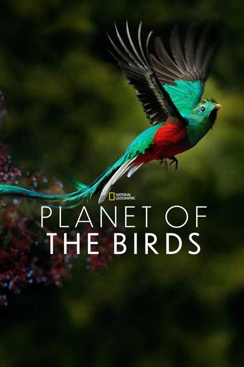 Planet of the Birds 2018 official movie poster