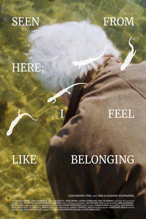 Seen From Here, I Feel Like Belonging 2025 official movie poster