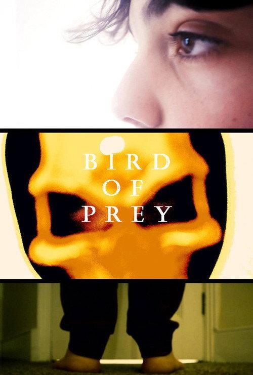 Bird Of Prey 2021 official movie poster