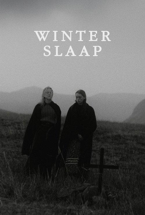 Hibernation 2023 official movie poster
